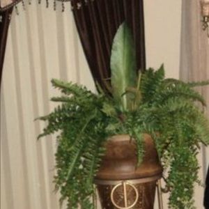 Meet your Posher, Valerie j.